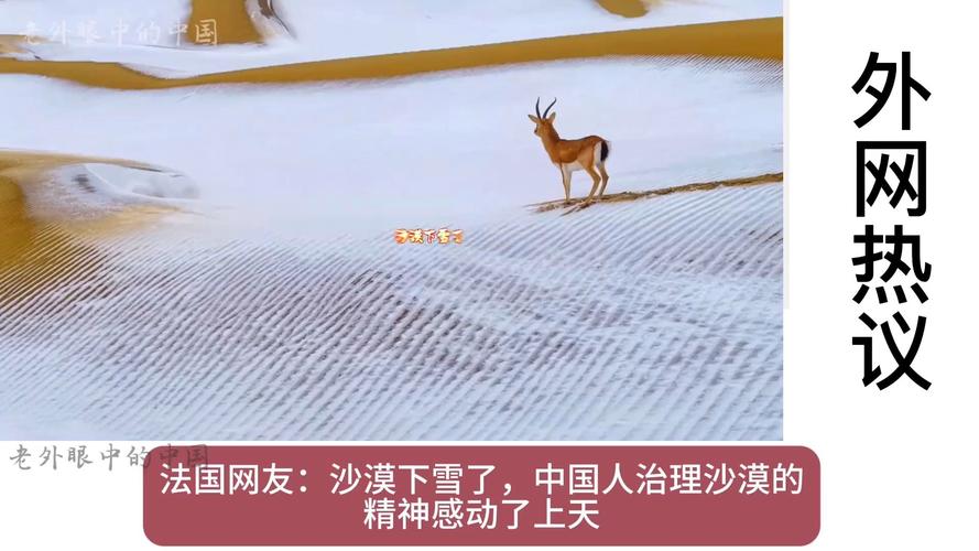 为什么塔克拉玛干沙漠有雪:塔克拉玛干沙漠降雪