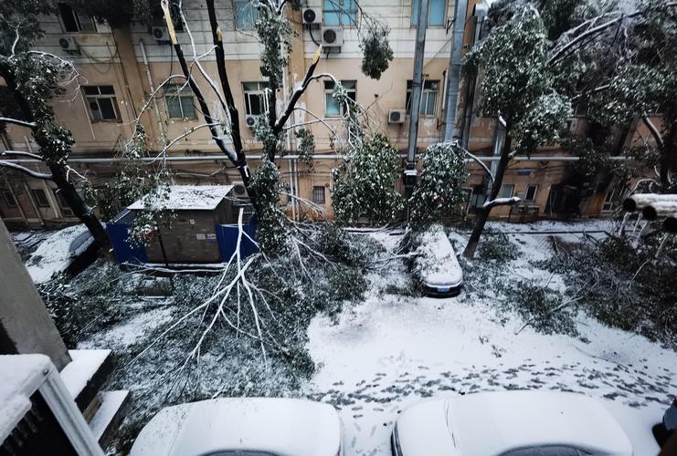 低温雨雪应急三级响应学校停课吗:寒潮雨雪或波及全国