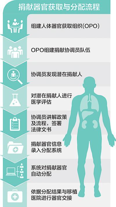 捐献器官有何补偿:器官捐献收费标准