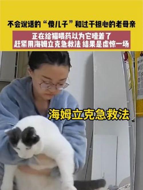 猫咪误食老鼠药中毒怎么办:5岁双胞胎鼠药中毒