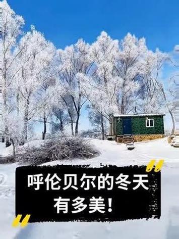 大风降雪，呼伦贝尔气温达零下40度，内蒙古的冬天还能再冷吗:为何大风天感觉更冷