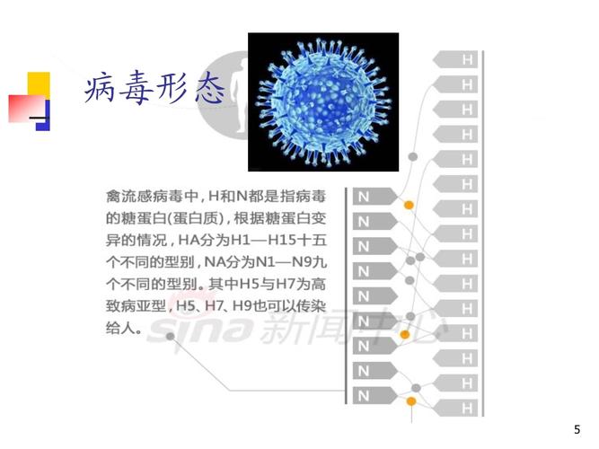 70日龄新城疫和H9亚型禽流感能否兑水喂:美近70人感染禽流感