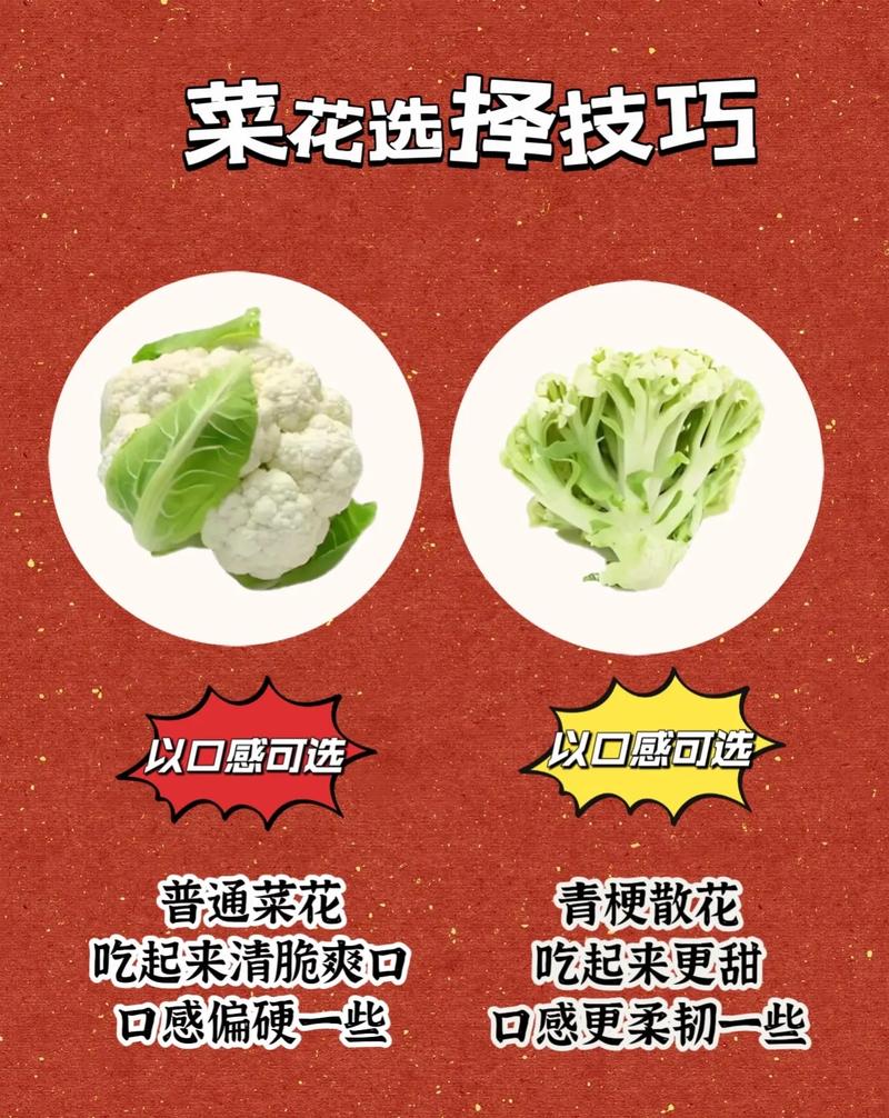 新奥2025今晚开奖资料和蔬菜水果你洗对了吗与蔬菜水果怎么洗最安全