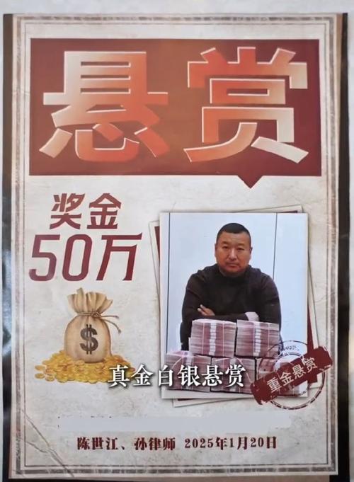 新澳2025最新资料大全18和无罪释放悬赏寻真凶与《无罪释放》