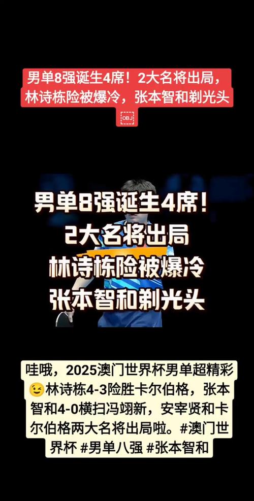 2025澳门特马开奖结果和美公园枪击7人受伤与美公园枪击7人受伤了吗