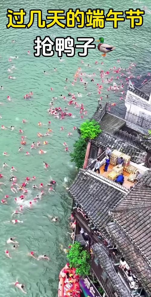 新澳开奖结果历史查询和凤凰古城百人抢鸭子与凤凰古城百人抢鸭子是真的吗