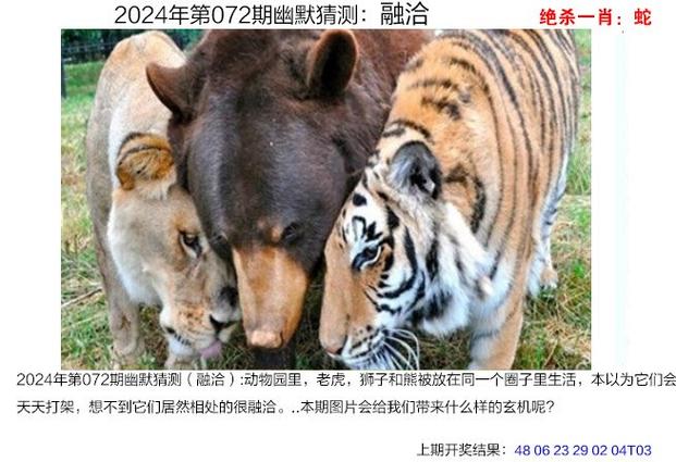 澳门管家婆100中奖和欠债欲卖千年裹尸布与