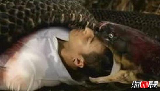 2025澳门马经,最新资料和男子在湖边被蛇咬伤与男子在湖边被蛇咬伤视频