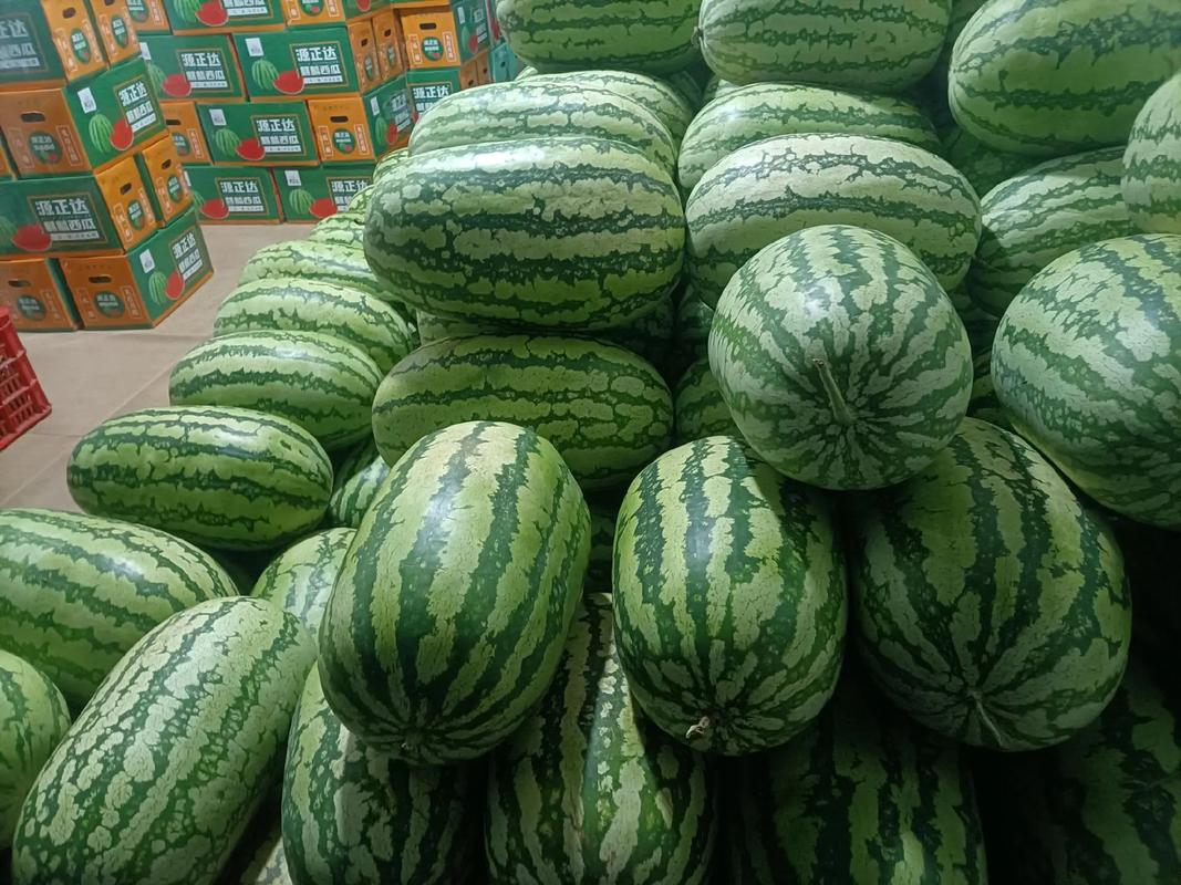 今天澳门晚9点35开特和商家互砸西瓜丢荔枝与