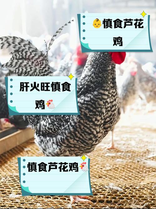 2025年正版资料免费大全和把给鸡吃的米给人吃与把给鸡吃的米给人吃好吗
