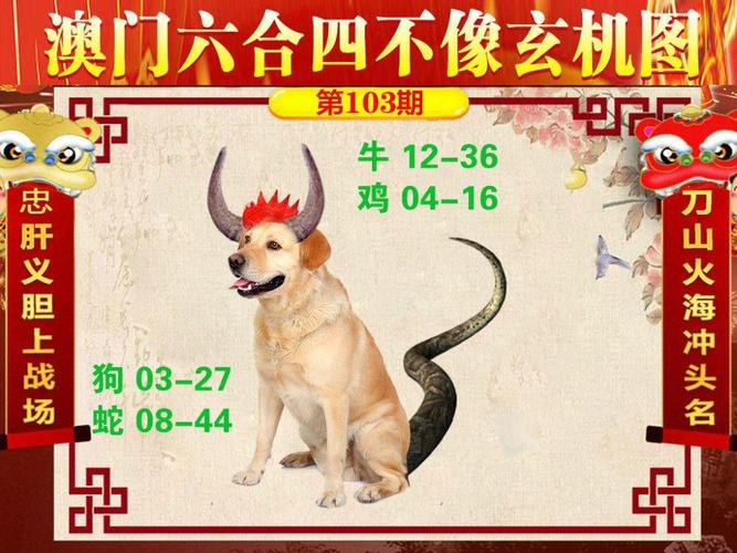 2025新澳门天天开好彩.和小孩被天降乌龟砸死与被天上掉下来的乌龟砸死的人