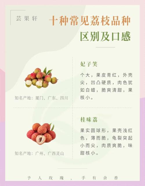 2025全年正版资料大全和空腹吃荔枝得荔枝病与空腹吃荔枝得荔枝病怎么办