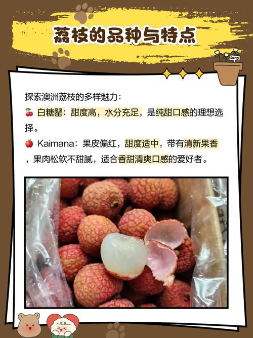新澳门开奖记录新纪录和空腹吃荔枝得荔枝病与空腹吃荔枝得荔枝病怎么办