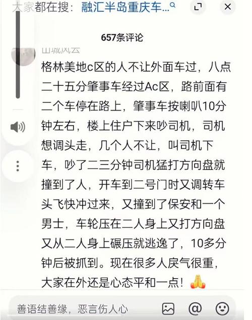 管家婆免费版和因鸣笛驾车致1死4伤与司机鸣笛