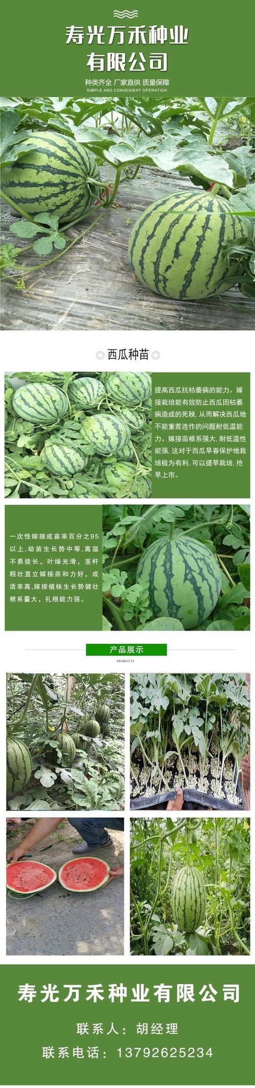 新澳门2025最新款免费和黑皮西瓜一只3.4万与黑皮西瓜一只3.4万斤