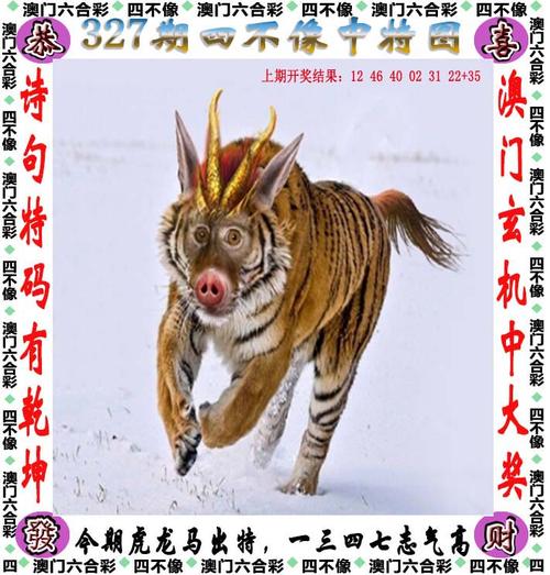 2025澳门天天彩开奖结果查询表和3天记3年单词骗局与3天记会3年单词