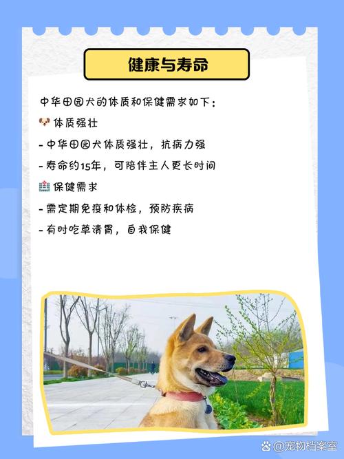 2025新澳门天天开好彩.和解除禁养中华田园犬与解除禁养中华田园犬的原因