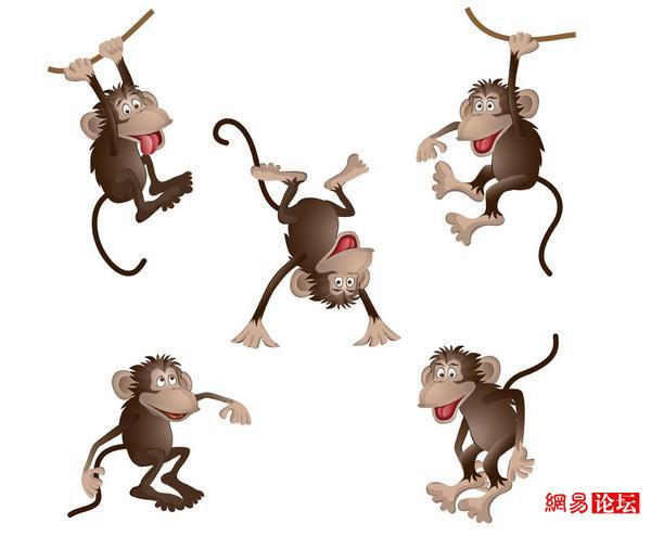 2025澳门天天开好彩大全回顾和对小猴竖中指被追打与对猴子竖中指