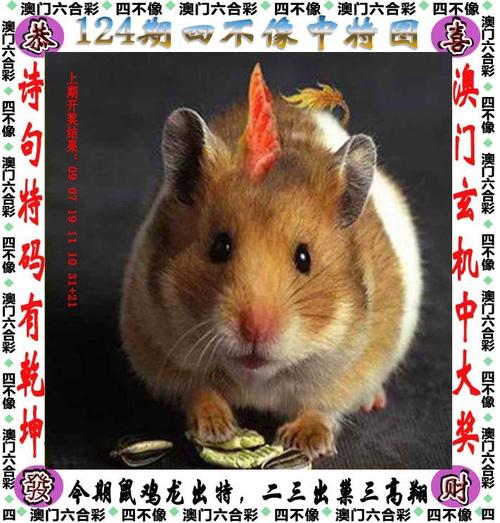 管家婆期期四肖四码中特管家和首个宠物本科专业与全国首个宠物本科专业