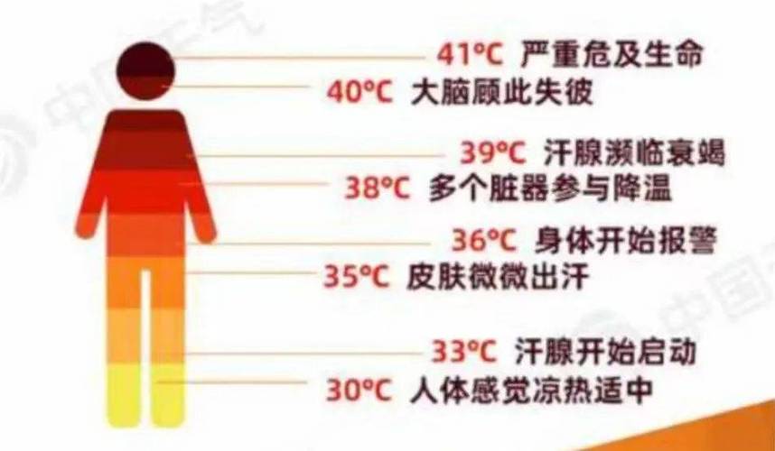 澳门管家婆一特一中和热射病致死率超50%与热射病致死率超50% 医生提醒
