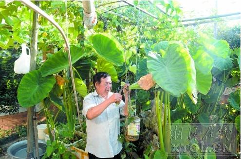 新澳门原料免费和老人网购花200万与老人网购花200万犯法吗
